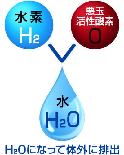 水素+悪玉活性酸素＝水